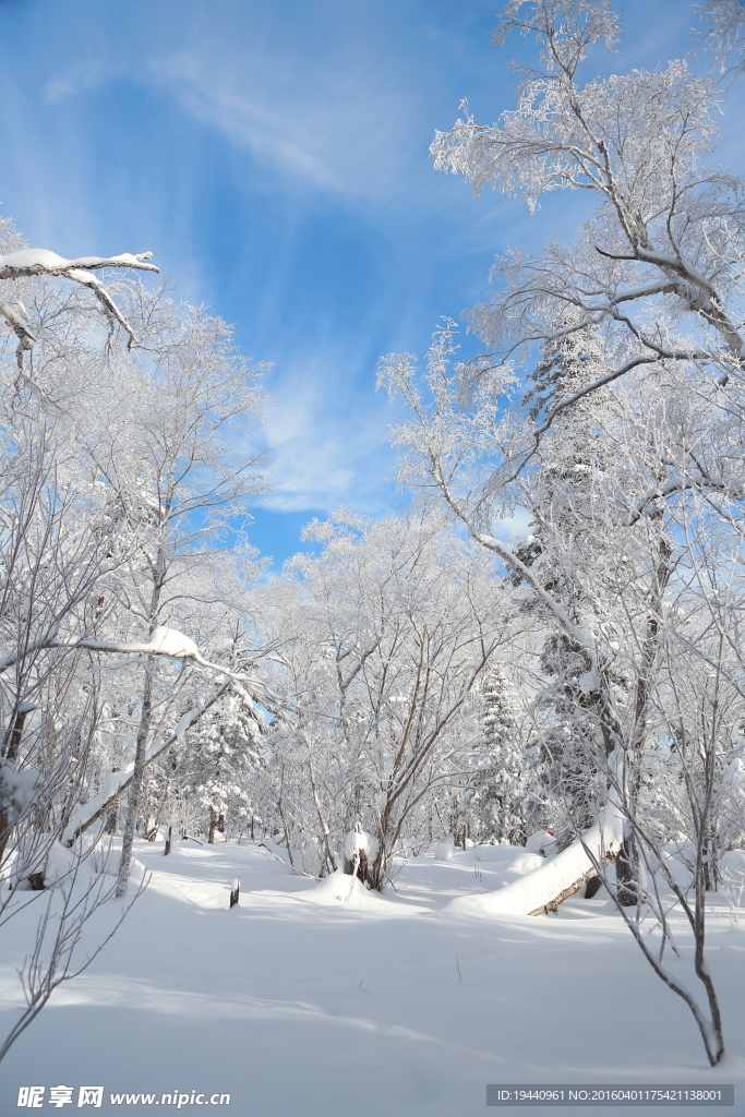 雪乡