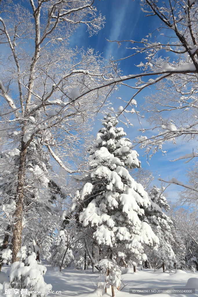 雪乡