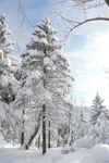 雪乡