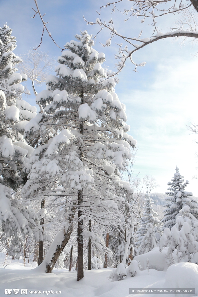 雪乡