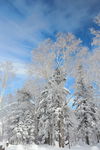 雪乡