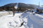 雪乡