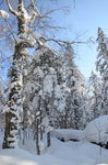 雪乡