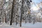 雪乡