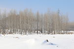 雪乡
