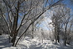 雪乡