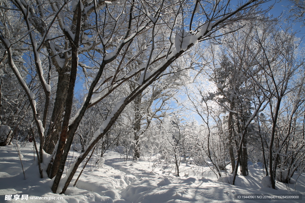 雪乡