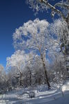 雪乡