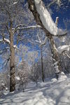 雪乡
