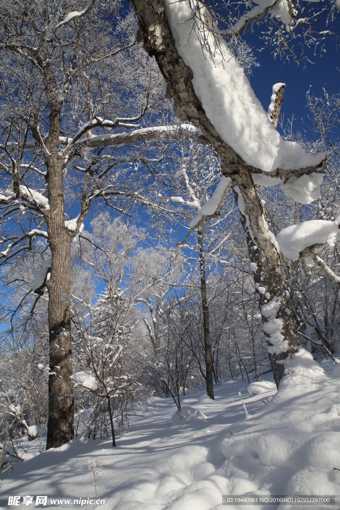 雪乡