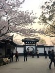 太湖佳绝处