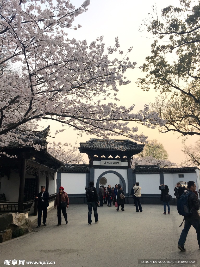 太湖佳绝处