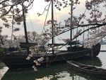 霞光中的船只