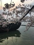 船只