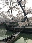 船只