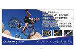 雷克斯