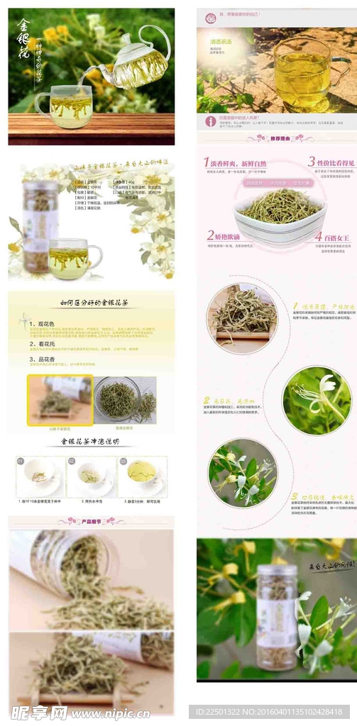 金银花详情