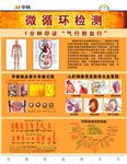 中脉生态家微循环