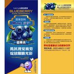 蓝莓固体饮料DM