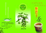 茶叶宣传广告