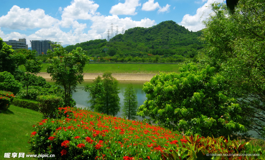 城市园林 园林山水