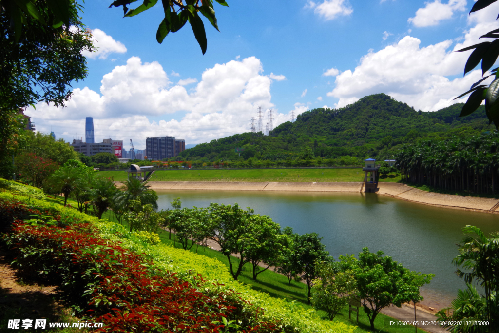 山水 银湖