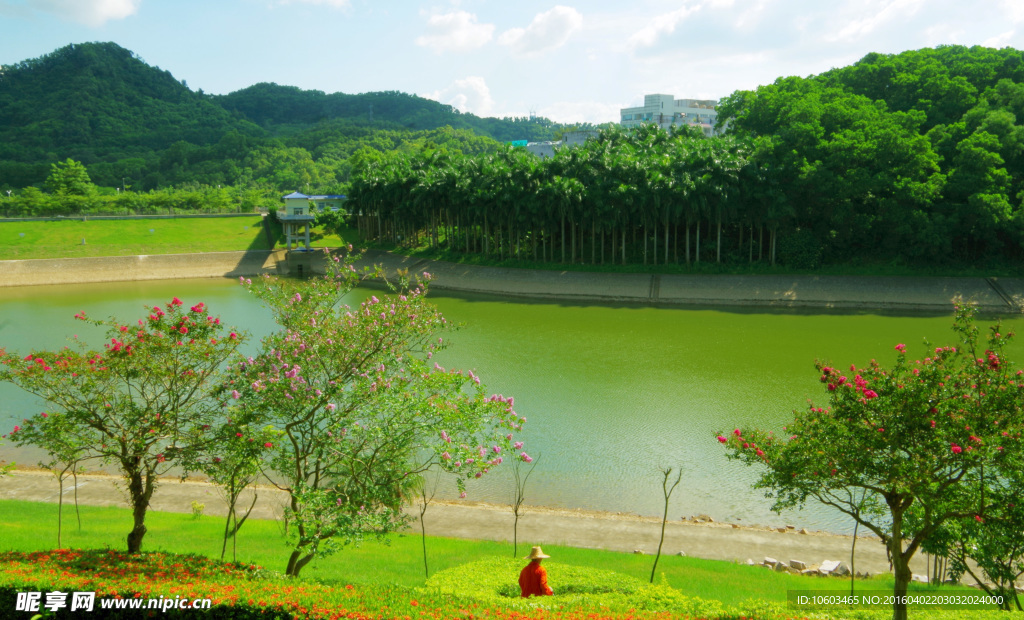 山水 银湖