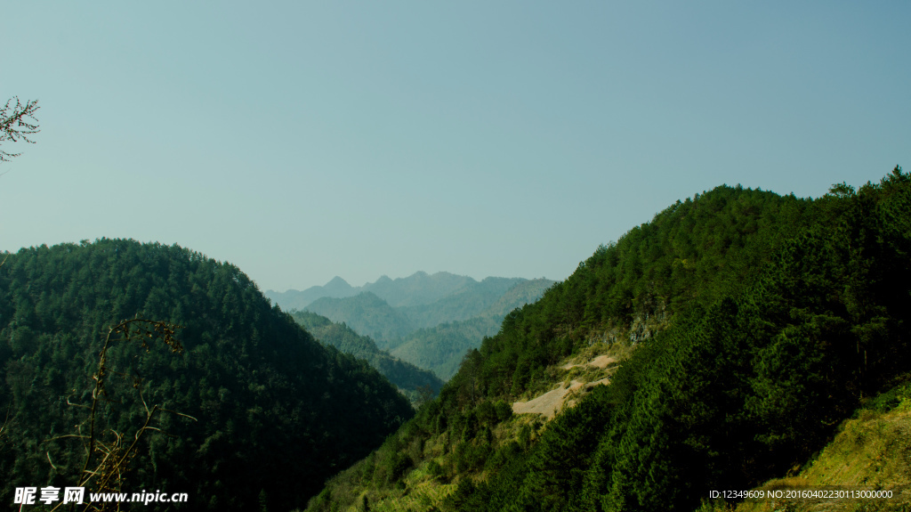 青山绿水