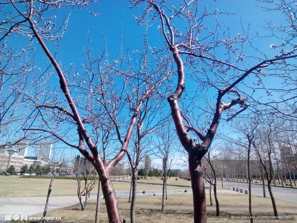 辽宁大学