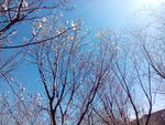 辽宁大学