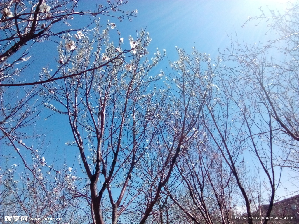 辽宁大学