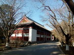 北京大学