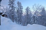 雪乡