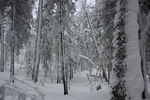 雪乡
