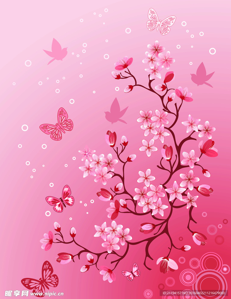 樱花蝴蝶