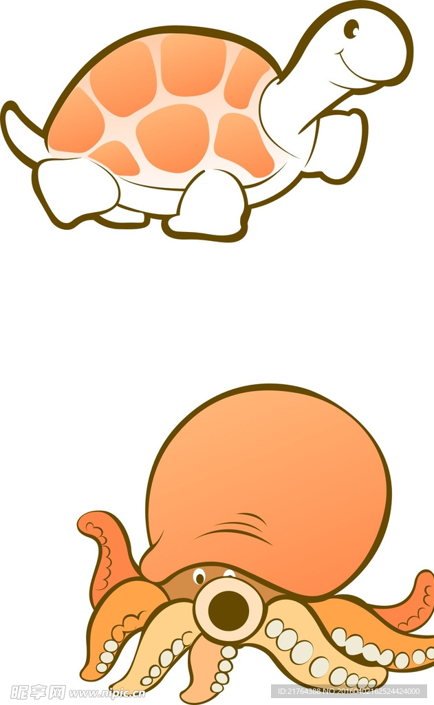 乌龟