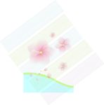 春天的花