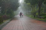 雾天江滨公园