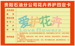 花卉养护卡片