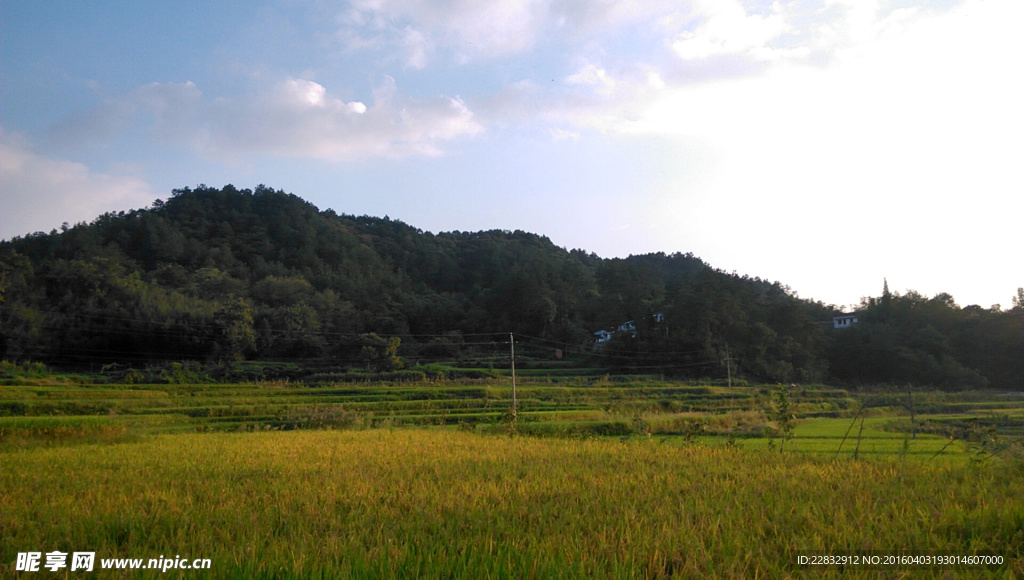 乡村田园
