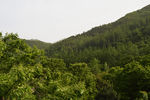 山峰