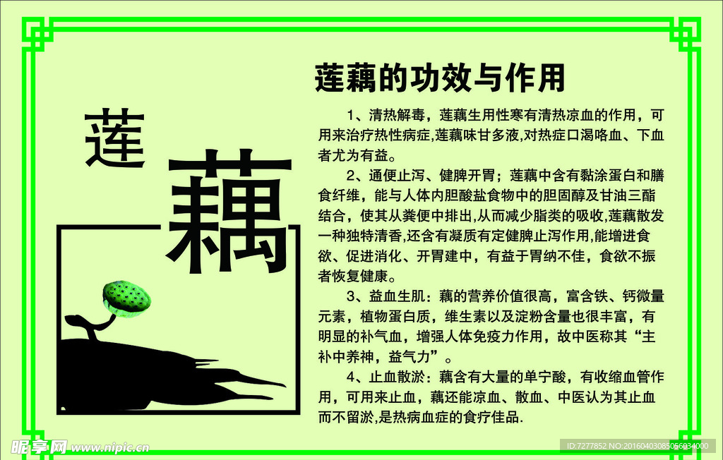 莲藕的功效与作用