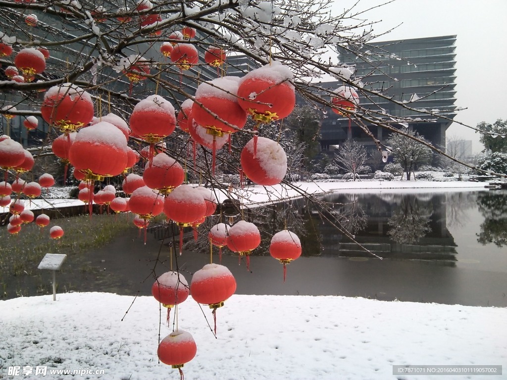 园区雪景