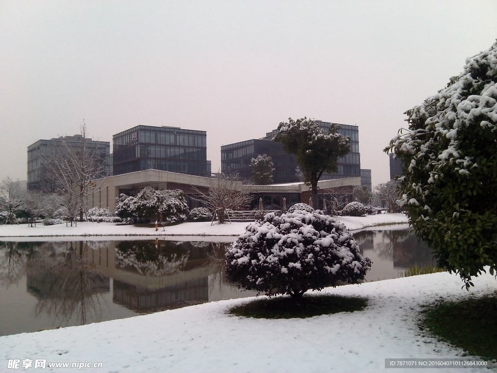 园区雪景