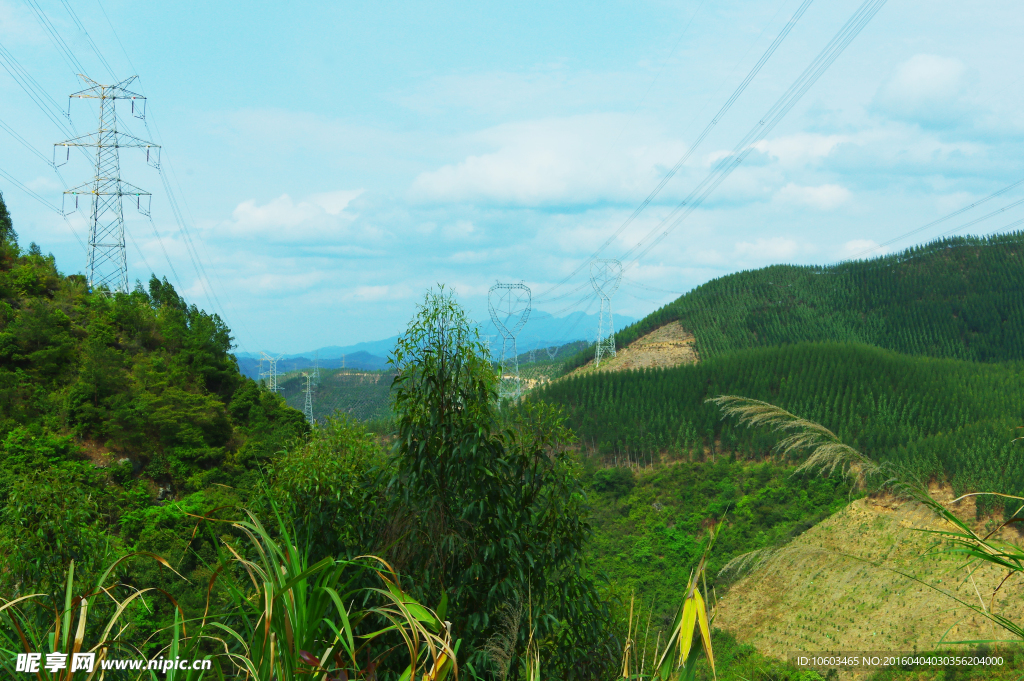 青山绿化 山岚电力