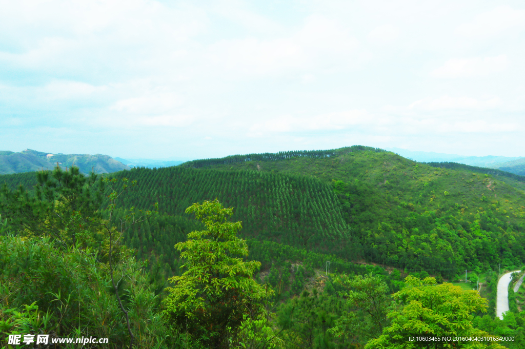 十万群山 青山绿化