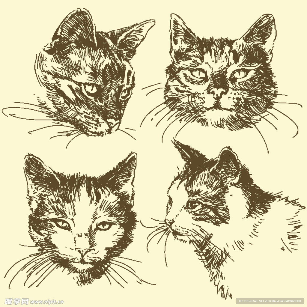 手绘猫头矢量素材