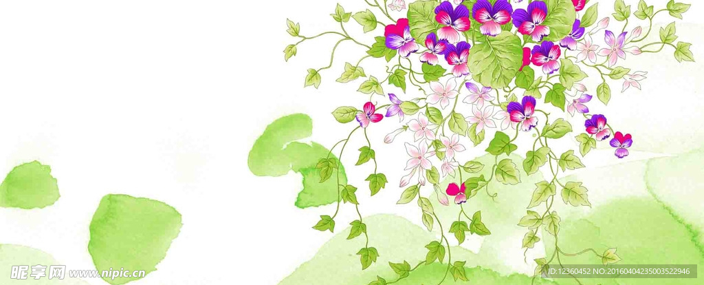 紫花和绿叶青藤背景