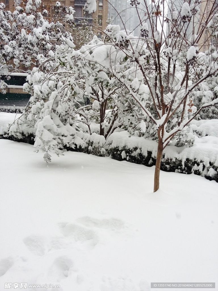 雪景