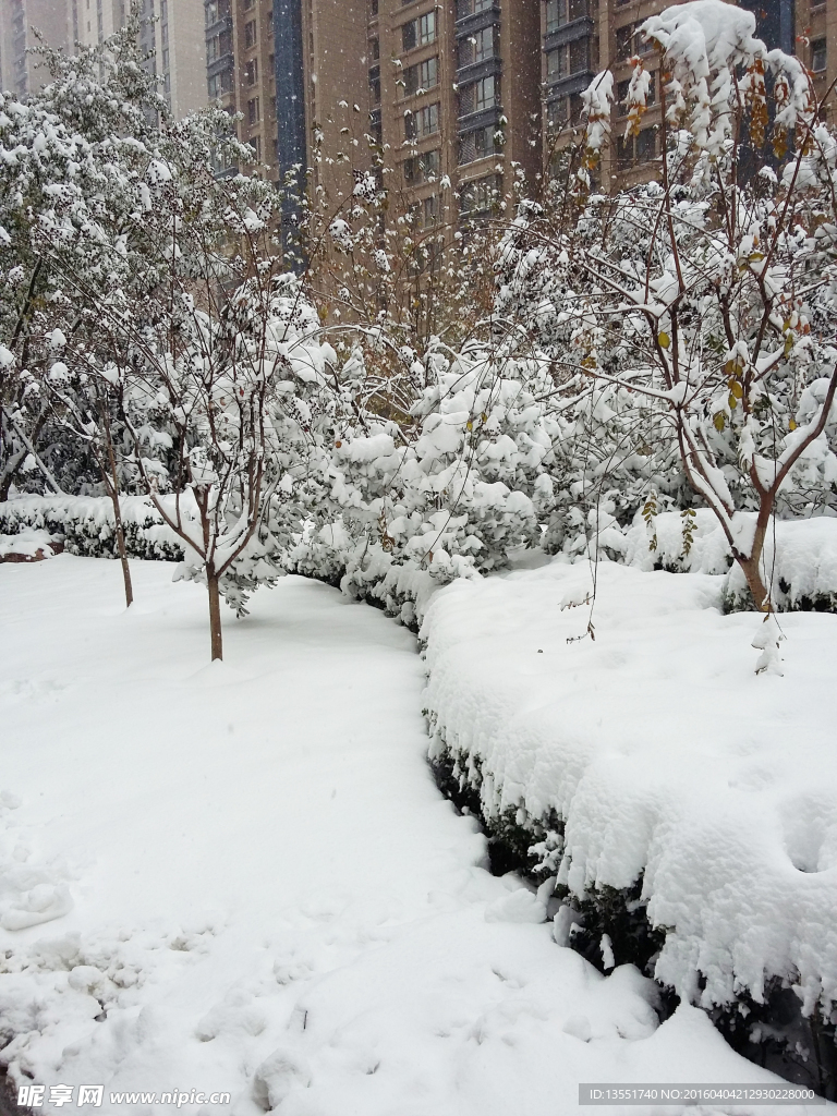 雪景